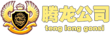 腾龙国际客服